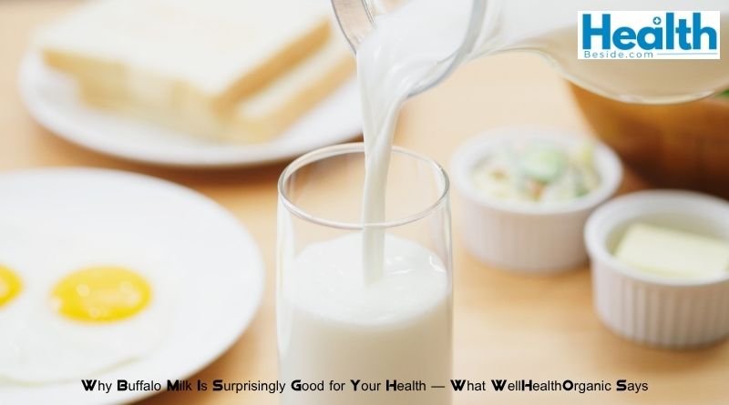 Why Buffalo Milk Is Surprisingly Good for Your Health — What WellHealthOrganic Says